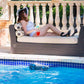 Dolphin Premier Robotic Pool Cleaner